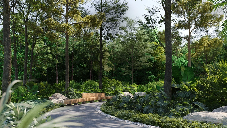 forest concept